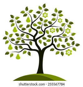 vector pear tree in two seasons isolated on white background