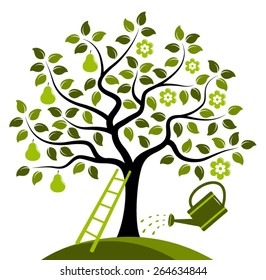 vector pear tree in two seasons isolated on white background