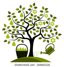 vector pear tree in two seasons isolated on white background