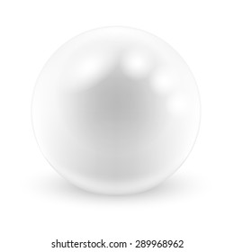  Vector Pearl on white background. Illustration.