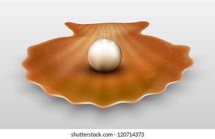 Vector pearl in shell