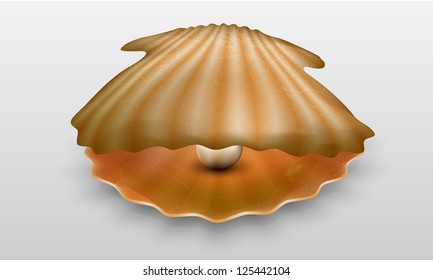 Vector pearl in shell