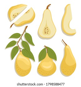 Vector pears collection in cartoon style. Bright pear fruits isolated on white background. Healthy organic natural food and pear slices with seeds for autumn farm market design.