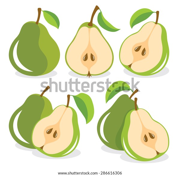 Vector Pears Cut Green Pear Fruits Stock Vector (Royalty Free) 286616306