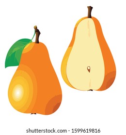 Vector of pears Isolated from white background.