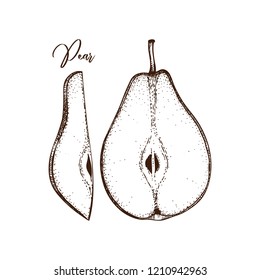 Vector pears vintage sketch. Hand drawn illustration. Sliced fruit drawing. Vintage dried pear. Food and drinks ingredints. 