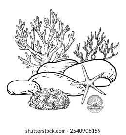 Pedra de seixos vetoriais, algas e corais. Algas marinhas pintadas à mão, estrelas-do-mar, laminária. Gráfico aberto ostra concha com pérola isolada no fundo. Ilustração subaquática. Para designers, convites