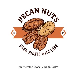 Vector pecan colorful logo. Nuts label design. Pecan nut kernels and shells illustration