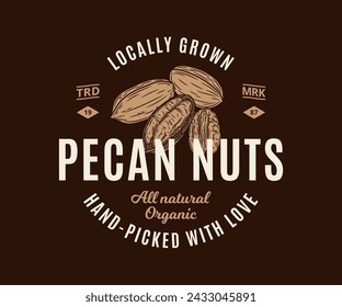 Vector pecan vintage logo. Nuts label design. Pecan nut kernels and shells illustration