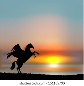 Vector pegasus on sunset sky