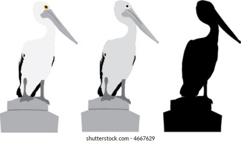Vector pelican on a pedestal