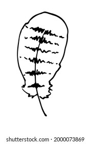 Vector pen with stripes. a curved, rounded bird feather with a striped pattern, drawn in a sketch style, an isolated black outline on a white background for a design template.