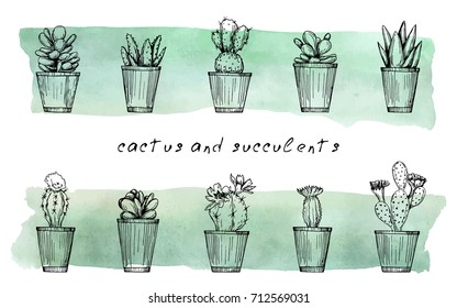 Vector pen style illustration. Cacti and succulents on watercolor background. Sketch vector set.