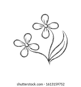 Vector pencil drawing of a flower in the style of Doodle for postcards, posters stickers and seasonal design. Isolated on a white background.
