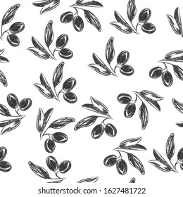 Vector pencil drawing of olive branch isolated on white background in Doodle style for kitchen design, oil or cosmetics. Flat design.
