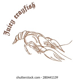 vector pencil hand drawn illustration of crayfish with label "juicy crayfish"