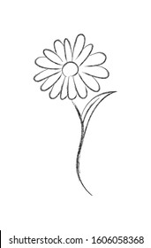 Vector pencil sketch of a flower with sticky notes. Flat Doodle style. Isolated on white background for coloring book, wedding design, logo or postcard.
