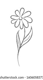 Vector pencil sketch of a flower with sticky notes. Flat Doodle style. Isolated on white background for coloring book, wedding design, logo or postcard.
