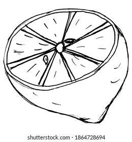 Vector, Pencil Sketch Illustration Of Vitamin Fruit, Sliced Lemon. Ready To Squeeze Of Juice. Natural, Tropical Food. For Coloring Books