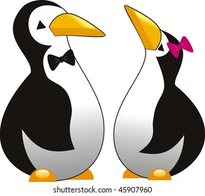 Vector Penguin isolated on withe background
