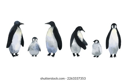 Vector penguins. Collection of adults penguins with cute baby penguins. Watercolor hand drawn illustration isolated on white background.