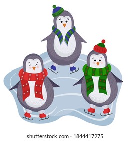 Vector penguins on an ice rink in flat style isolated on a white background. Penguins in ice skates, hats and a scarf on the ice. Perfect for illustrating winter holidays, Christmas and new year