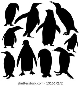 Vector penguins silhouette