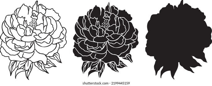 Vector Peonies SVG outline. Hand drawn Peonies Florals Silhouette. One line Peony flowers isolated illustration. svg