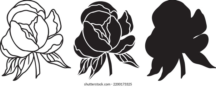 Vector Peonies SVG outline. Peonies Silhouette. One line Peony flower iilustration isolated on white background. svg