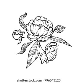 Vector Peony Coloring book page for adults. Hand drawn artwork. Love bohemia concept for wedding invitation, card, ticket, branding, logo, label. Gift for girl, women. Black and white.