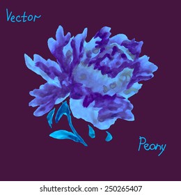 Vector peony flower hand painted in vibrant colors