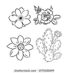 Vector peony flower isolated on white background. Element for design. Hand-drawn contour lines and strokes.