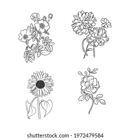 Vector peony flower isolated on white background. Element for design. Hand-drawn contour lines and strokes.