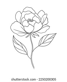 Vector peony flower isolated on white background. Element for design. Outline style.