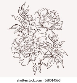 Vector peony flower isolated white background  Element for design  Hand  drawn contour lines   strokes 