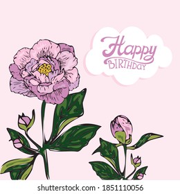 
vector peony illustration for congratulations, hand drawn image with floral element for design