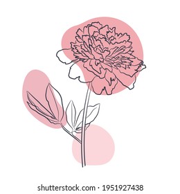 Vektorpeony auf weißem Hintergrund. Handgezeichnete Illustration.
