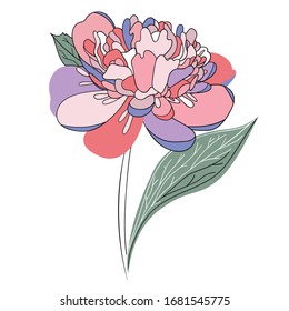 Vector Peony in Pink stylized decorative