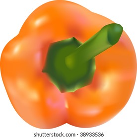 vector pepper on a white background. with mesh
