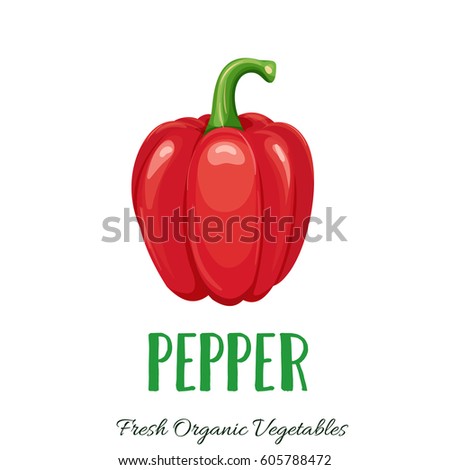 Vector pepper. Vegetable illustration for farm market menu. Healthy food design