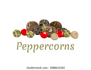 Vector peppercorns isolated on white background. Illustration of spicy spice in  flat style. Allspice.