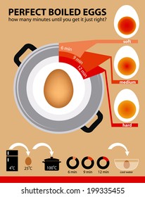 Vector of perfect boiled eggs