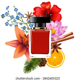 Vector Perfume with Ingredients isolated on white background