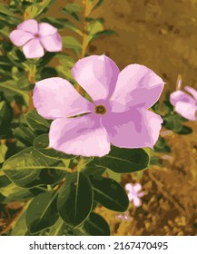 Vektor Periwinkle Blumen in Garden Illustration