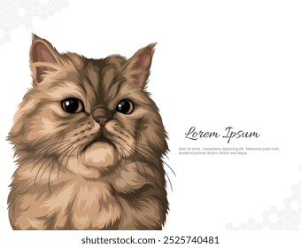 Vector Persian Cat Breed wall decor ideas Portrait. realistic animal images. Hand drawn cat isolated. for room decoration, events, etc