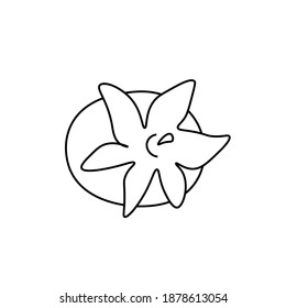 Vector persimmon in doodle style. Asian food black line hand drawn.One illustration of fruit. Design for social media, menus, packaging, cards, printing, advertising.