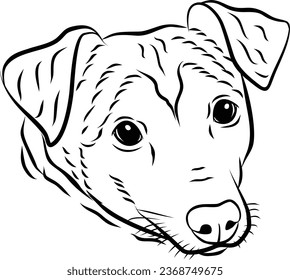 vector pet, dog head, icon, logo