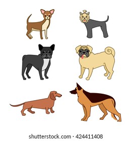 Vector. Pet. Flat. Man's best friend. Chihuahua. Yorkshire Terrier. French bulldog. Pug. German Shepherd. Dachshund. Set of dogs isolated on white background.