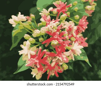plantilla de ilustración de flores de pétalos vectores