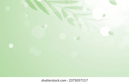 Vector petals of green rose spa background.